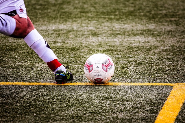 出了其獨特 出了其獨特