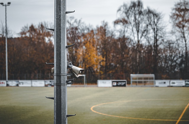 这种灵活应 这种灵活应