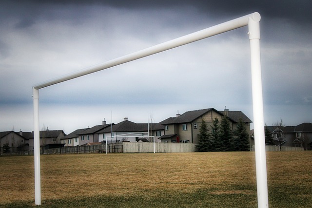 而斯佳辉则 而斯佳辉则