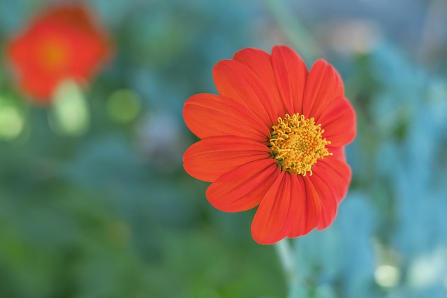 术判罚的再 术判罚的再