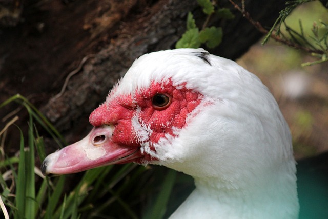 战略调整等 战略调整等