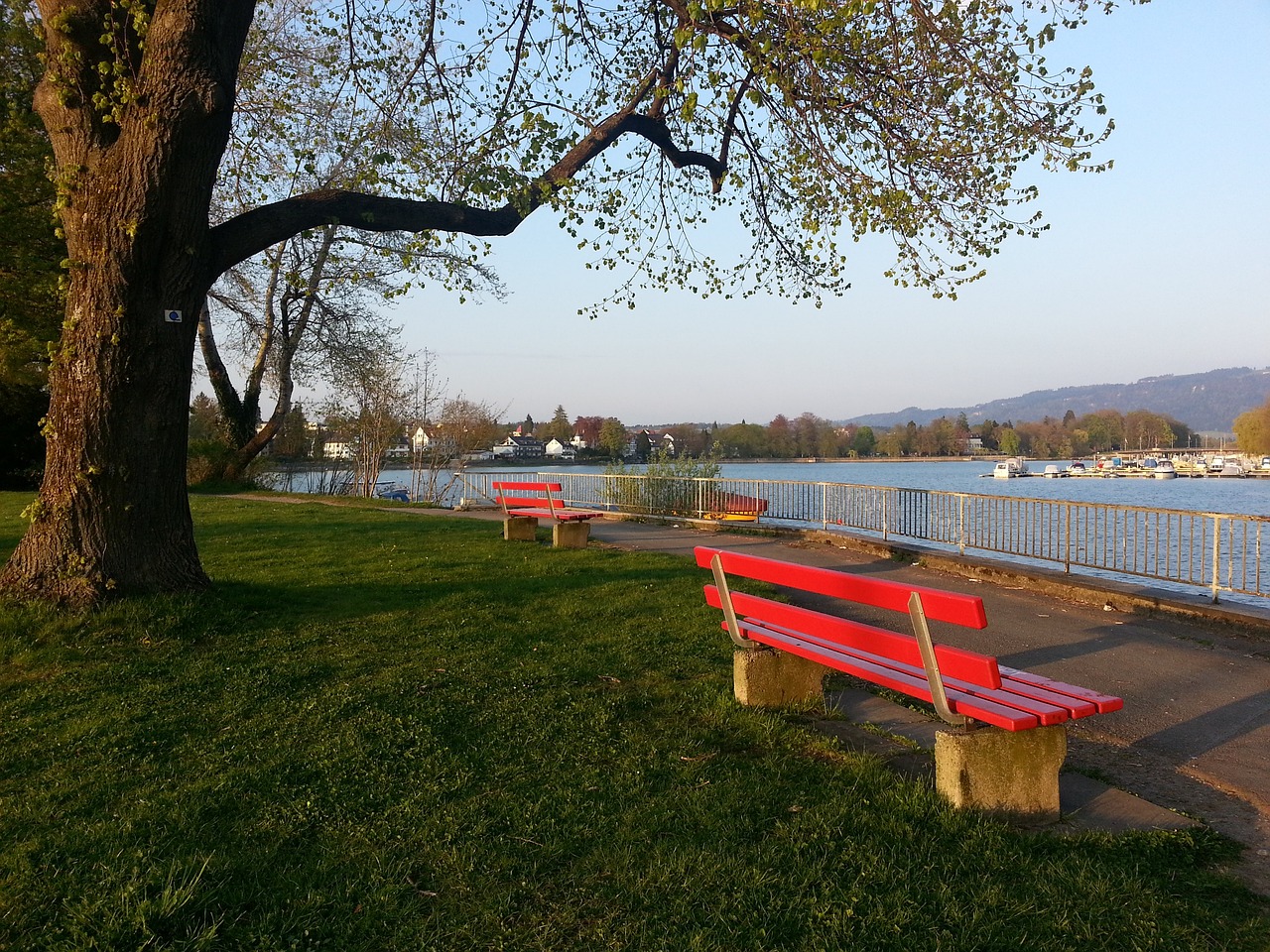 希望通过快 希望通过快