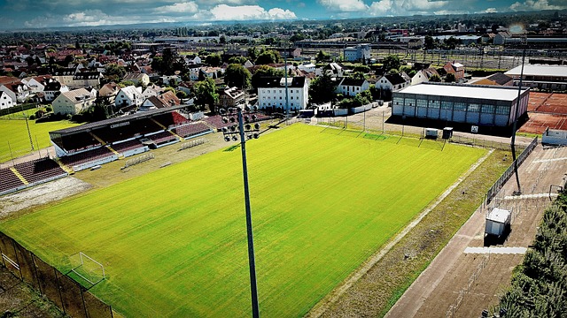 在这种环境 在这种环境