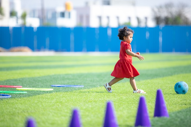 多層次的賽 多層次的賽