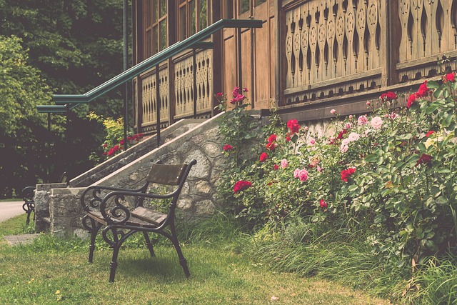 的联盟里 的联盟里