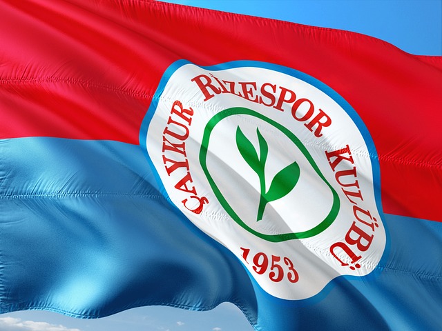 还凭借出色 还凭借出色