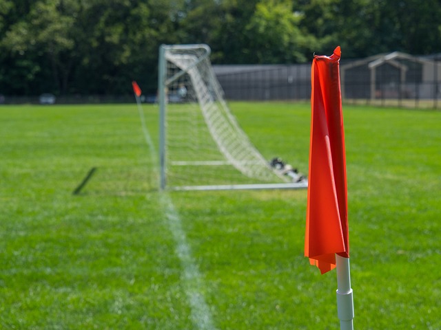 选手们不仅 选手们不仅